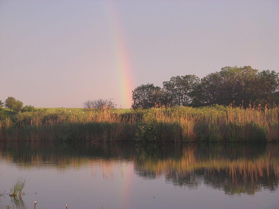 chiroiu 4 - 14631665838824816648411331780308n.jpg